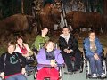 bialowieza56