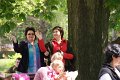 dd2010_18