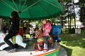 dd2010_24
