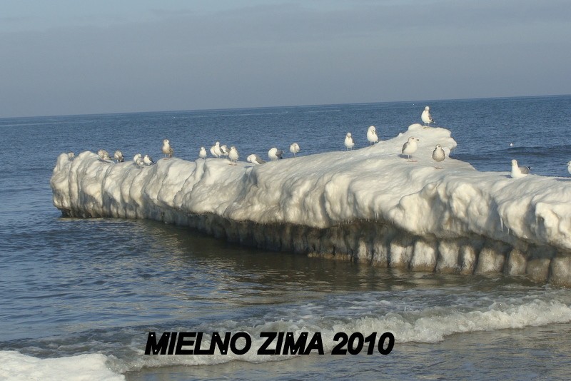 mielno84.jpg