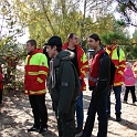 poligon_11