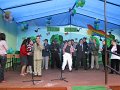 zielona2010_11